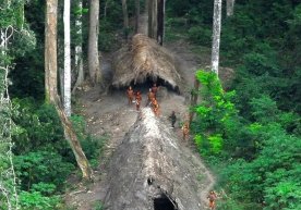 Braziliyada ilgari noma’lum bo‘lgan hindular qabilasi topildi фото