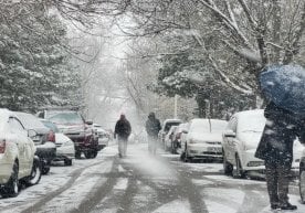 Ўзбекистонга совуқ ҳаво массалари кириб келмоқда —