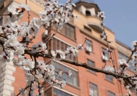 Ўзгидромет агентлиги 13 март куни кузатиладиган об-ҳаво