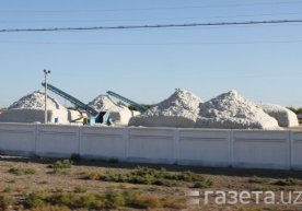 Sakkiz nafar rahbar xodimlarni paxta yig‘imiga majburiy jalb qilgani uchun jazolandi фото