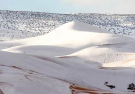 4 февраль, якшанба куни Африканинг шимолий ҳудуди,