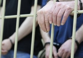 ДХХ Суриядаги раҳбар-жангариларни Ўзбекистонга қайтарди фото