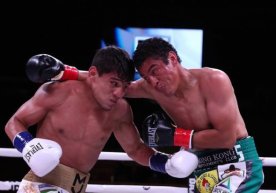 Professional boksning ikkinchi yarim yengil (-55,34 kg)