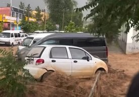 19 may kuni kuchli yomg‘irlardan so‘ng Qashqadaryo