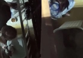 Тошкент шаҳрида Хитой фуқароси мушукка қайноқ сув