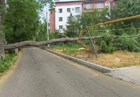 Тошкент ҳокимияти шаҳарда кучли шамол бўлиши ҳақида