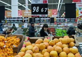Туркия иқтисодиёт вазири Нихат Зайбакчи Россиядан