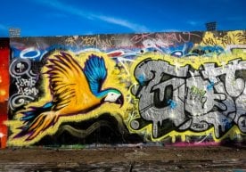 O‘zbekistonda har bir hududda graffiti usulida bezatilgan ko‘chalar tashkil etiladi фото