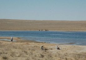 Россия илмий доиралари Орол денгизини тиклаш масаласини