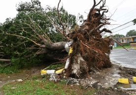 Ямайкада «Мелисса» номи берилган тропик довул катта