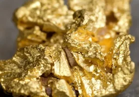 Хитой шимоли-шарқидаги Lyaonin провинциясида мамлакат