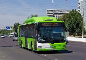 30 iyun kuni Toshkentda yoshlar uchun avtobusda yurish bepul bo‘ladi фото