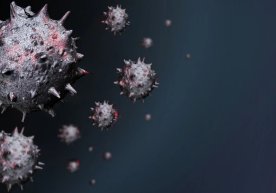 Koronavirusning yangi mutatsiyasi yanada xavfli ekani aniqlandi фото