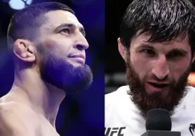 UFC ярим оғир вазн тоифасидаги чемпиони, россиялик Магомед