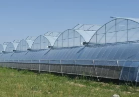 Боғот туманлараро иқтисодий судининг ижро ҳужжатига асосан