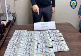 Тошкент аэропорти ҳудудидан фуқарога дўкон очишда "ёрдам бераётган" шахс ушланди фото