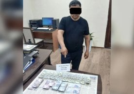 Сурхандарья облысының Термиз қаласындағы Ветеринария және