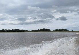 2026-йилга келиб Ўзбекистонда сувни тежаш технологияларини