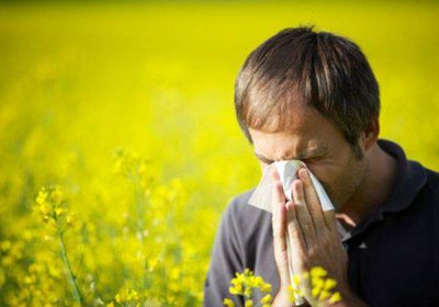 Bahorgi allergiyadan xalos bo‘lishning 7 usuli фото