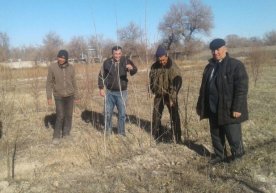 Оролни қутқариш мумкин: ўзбек олими бунинг лойиҳасини тақдим этди фото