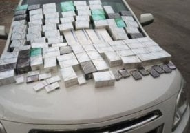 Божхоначилар “Саманта” кўмагида “Кобальт”га яширилган тамакиларни фош этишди (фото) фото