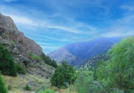 O‘zbekistonda dam olish kuni havo salqinlashadi фото