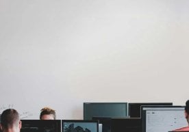 2025 йил 1 ноябр ҳолатига кўра, Ўзбекистонда фаолият