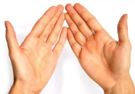 Танамизнинг ҳар бир қисми ички аъзолар фаолияти билан