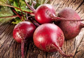 Куз қиш мавсумида дастурхонимизни безайдиган,