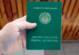 Пенсия тайинлаш учун зарур ҳужжатларни йиғиш жараёни
