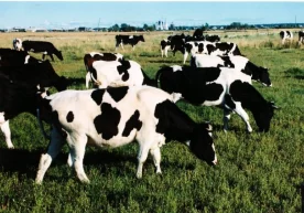 Қозоғистон қишлоқ хўжалиги вазирлиги мамлакатдан йирик