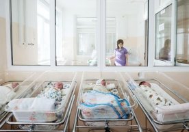 Андижонлик аёл тўрт эгизакни дунёга келтирди фото