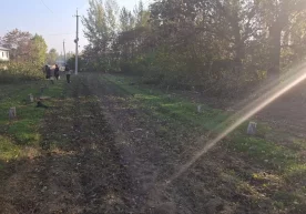 Мажбурий ижро бюроси Чортоқ туман бўлими томонидан олиб