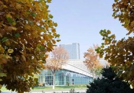 Халқ назорати платформасига 21 ноябр ҳолатига кўра,