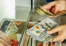 Ўзбекистонда тадбиркорлик субъектлари учун хорижий валюта