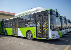 Тошкентда яна 20 та катта сиғимли MAN автобуслари йўловчиларни ташишни бошлайди фото