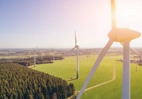 Олий Мажлис Қонунчилик палатаси депутатлари Ўзбекистоннинг