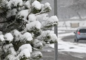 Ўзгидромет кузатувларига кўра, эртага мамлакат бўйлаб ҳаво