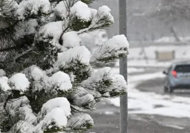 Ўзгидромет кузатувларига кўра, эртага мамлакат бўйлаб ҳаво