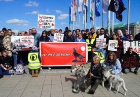 Germaniyaning Gamburg shahrida ayolga hujum qilgan