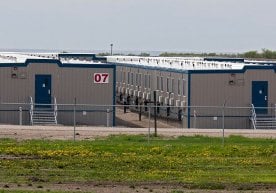 AI технологияларининг жадал ривожланиши янги турдаги