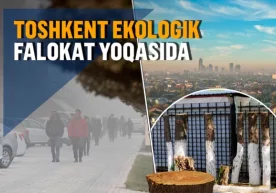 Ўзбекистон пойтахти аллақачон дунёнинг ҳавоси энг ифлос