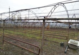 Бош прокуратура ҳузуридаги Департаментнинг Китоб туман