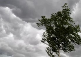 30 март куни Ўзбекистон ҳудудида об-ҳаво шароити нисбатан