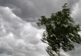 30 март куни Ўзбекистон ҳудудида об-ҳаво шароити нисбатан