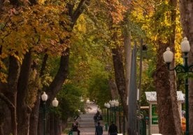 Ўзгидромет 1 декабрь учун янгиланган об-ҳаво