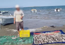 Foto: Ekologiya, atrof-muhitni muhofaza qilish va iqlim