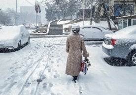 Ўзгидромет маълумотларига кўра, 23 декабрь куни мамлакат