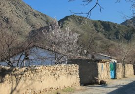 Ўзбекистонда ижтимоий ҳимоя тизимини янги босқичга олиб