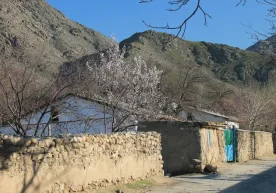 Ўзбекистонда ижтимоий ҳимоя тизимини янги босқичга олиб